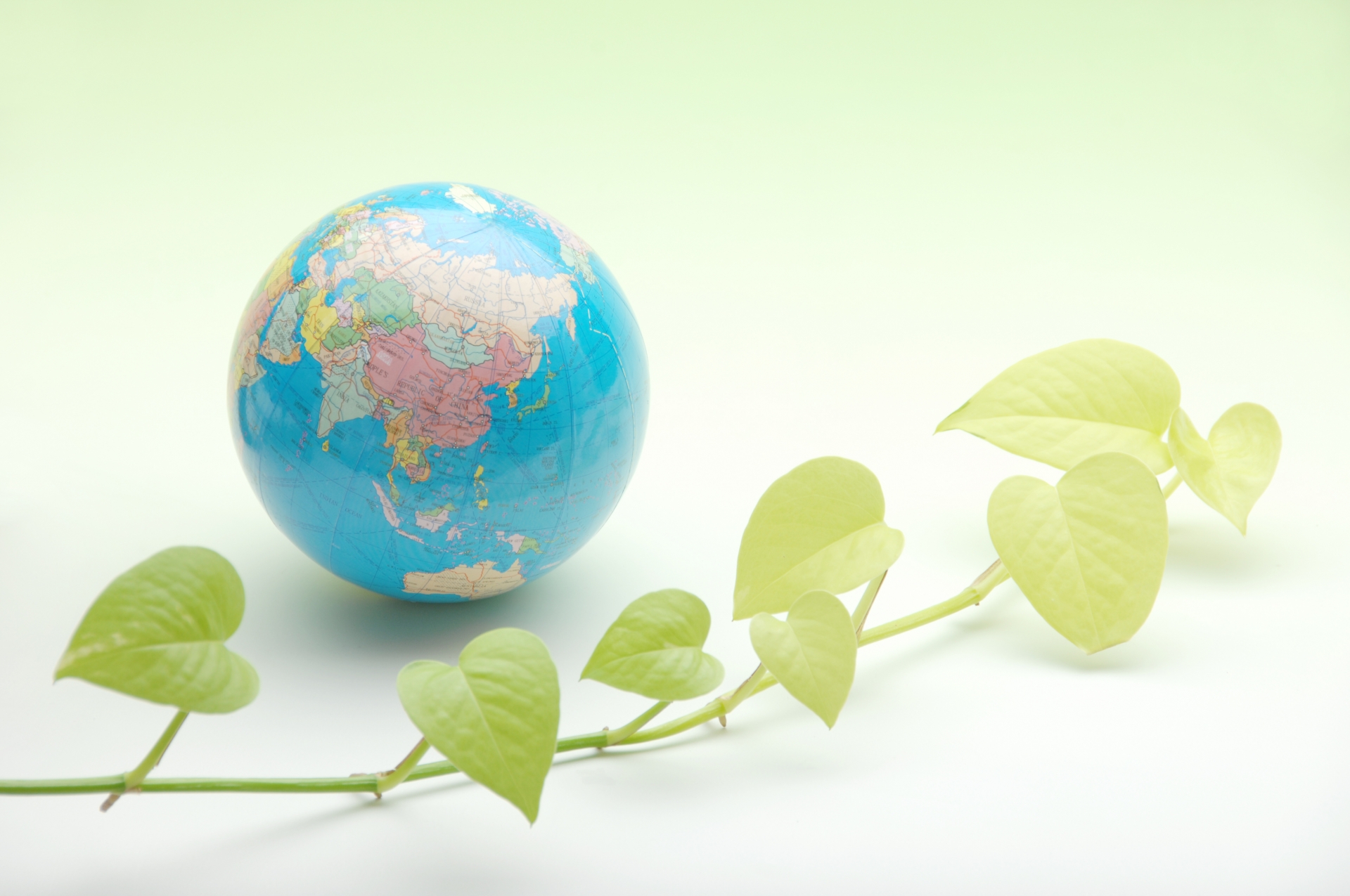 不要品の徹底分別